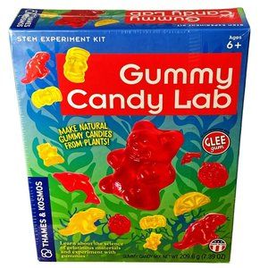 Thames & Kosmos Gummy Bear Candy Lab STEM Experiment Kit Brand NEW Sealed